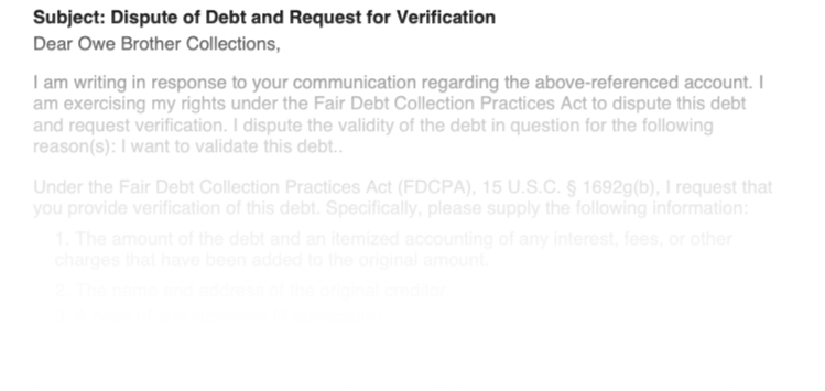 Dispute Letter Preview